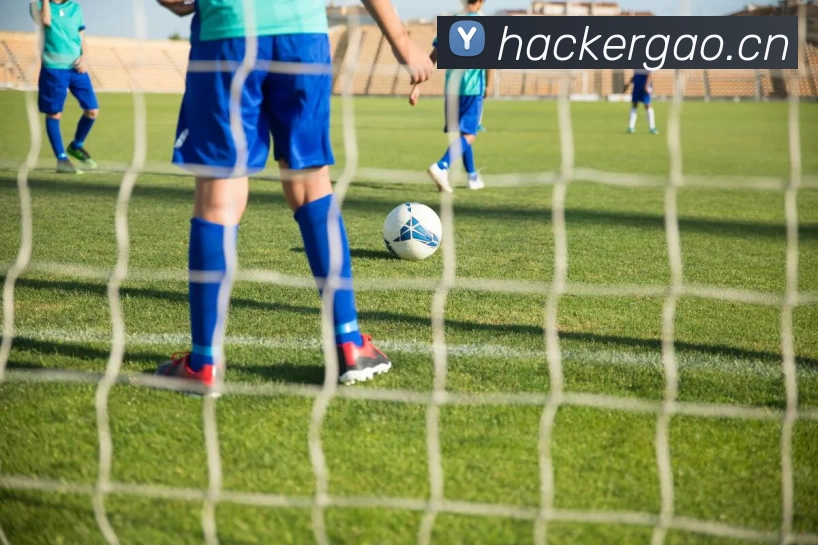 开云手机在线登录品牌故事