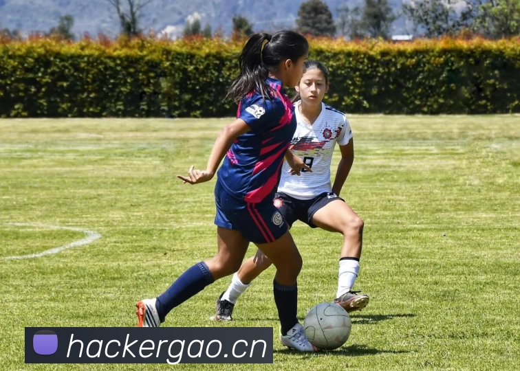 开云手机在线登录服务体系